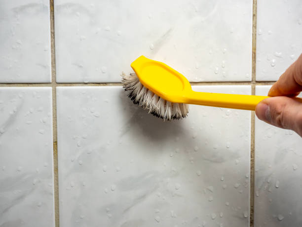 Best Fast Mold Removal  in West Point, UT
