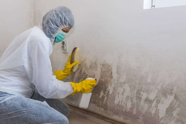 Water Damage Restoration in West Point, UT