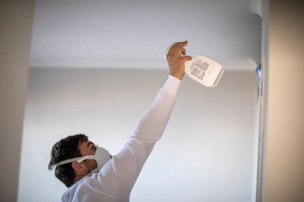 Best Black Mold Removal  in West Point, UT