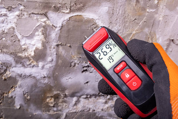 Best Attic Mold Removal  in West Point, UT