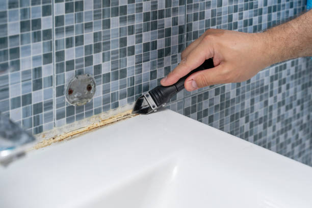 Best Mold Damage Repair  in West Point, UT